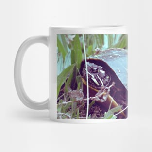 Turtle Mug